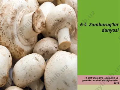 zamburug‘lar dunyosi. 9 - sinf — PPTX