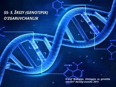 irsiy (genotipik) o‘zgaruvchanlik. 9 - sinf — PPTX
