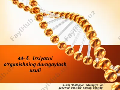 irsiyatni o‘rganishning duragaylash usuli. 9 - sinf — PPTX