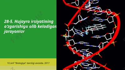 hujayra irsiyatining o‘zgarishiga olib keladigan jarayonlar. 10 - sinf — PPTX