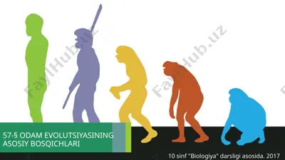 odam evolutsiyasining asosiy bosqichlari. 10 - sinf — PPTX
