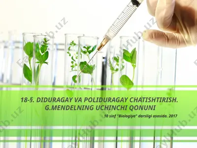 diduragay va poliduragay chatishtirish. g.mendelning uchinchi qonuni. 10 - sinf — PPTX
