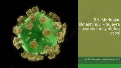 moddalar almashinuvi – hujayra hayotiy faoliyatining asosi. 10 - sinf — PPTX