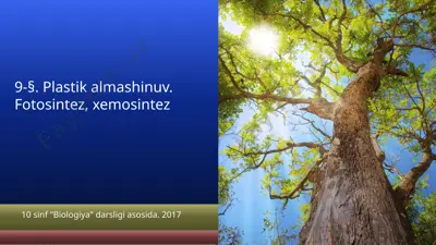 plastik almashinuv. fotosintez, xemosintez. 10 - sinf — PPTX