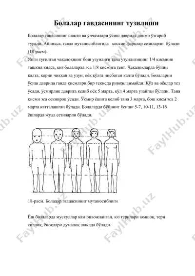 болалар гавдасининг тузилиши — DOC