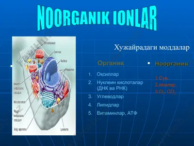 noorganik ionlar — PPT