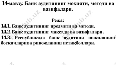 bank auditi — PDF