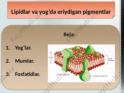 lipidlar va yog’da eriydigan pigmentlar — PPTX