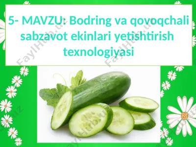bodring va qovoqchali sabzavot ekinlari yetishtirish texnologiyasi — PPTX