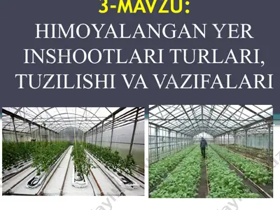 himoyalangan yer inshootlari — PPTX