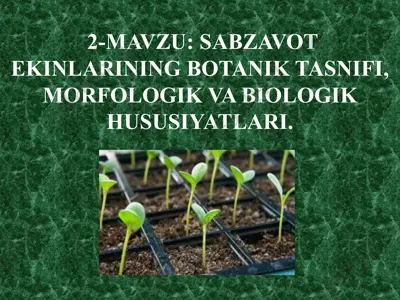 sabzavot ekinlarining botanik tasnifi, morfologik va biologik hususiyatlari — PPTX
