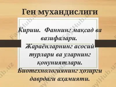 ген мухандислиги — PPTX