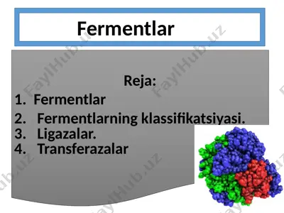 fermentlar — PPTX