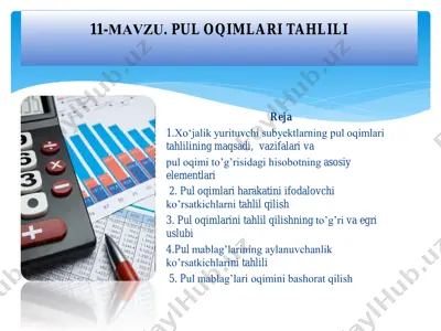 pul oqimlari tahlili — PDF