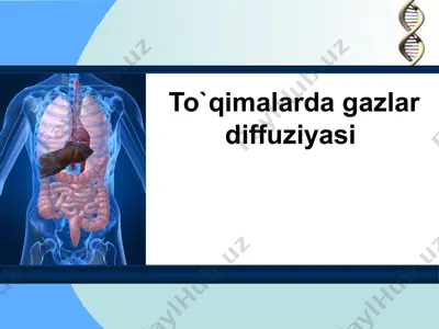 to`qimalarda gazlar diffuziyasi — PPT