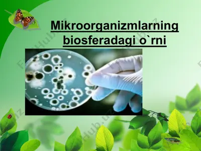 mikroorganizmlarning biosferadagi o`rni — PPTX
