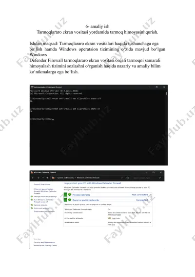tarmoqlararo ekran vositasi yordamida tarmoq himoyasini qurish — DOCX