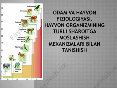 odam va hayvon fiziologiyasi. hayvon organizmining turli sharoitga moslashish mexanizmlari bilan tanishish — PPTX