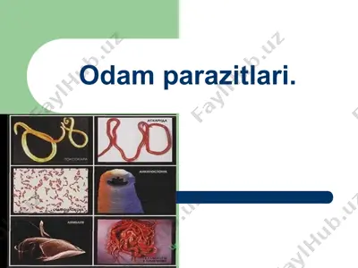 odam parazitlari — PPT
