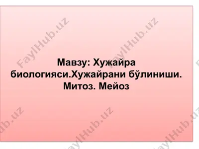 hujayra biologiyasi. hujayraning bo‘linishi: mitoz va meyoz — PPTX