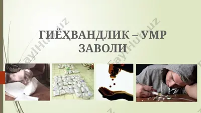 giyohvandlik va uning oqibatlari — PPTX