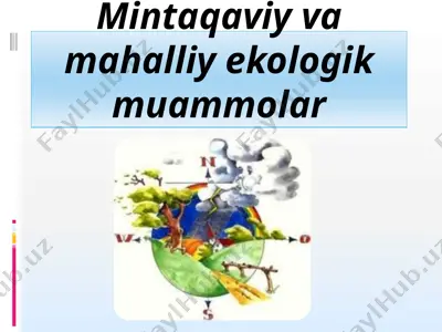 mintaqaviy va mahalliy ekologik muammolar — PPTX