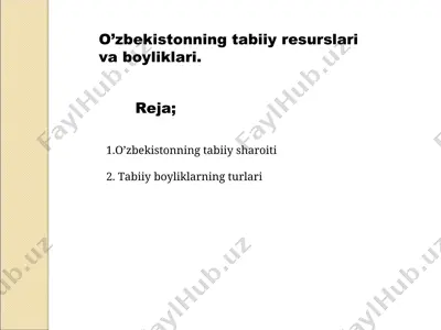 o'zbekistonning tabiiy resurslari va boyliklari — PPT