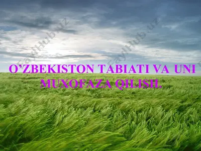 o‘zbekiston tabiati va uni muhofaza qilish — PPT