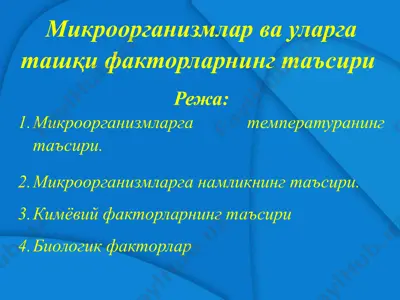 микроорганизмлар ва уларга ташқи факторларнинг таъсири — PPTX