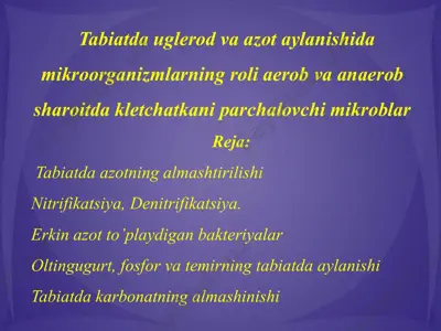 tabiatda uglerod va azot aylanishida mikroorganizmlarning roli aerob va anaerob sharoitda kletchatkani parchalovchi mikroblar — PPTX