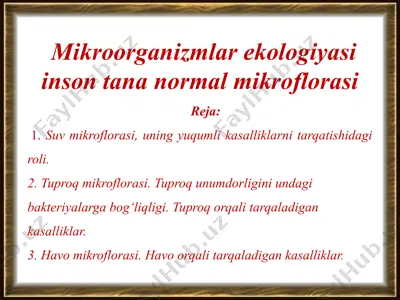 mikroorganizmlar ekologiyasi inson tana normal mikroflorasi — PPTX