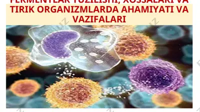 fermentlar tuzilishi, xossalari va tirik organizmlarda ahamiyati va vazifalari — PPT