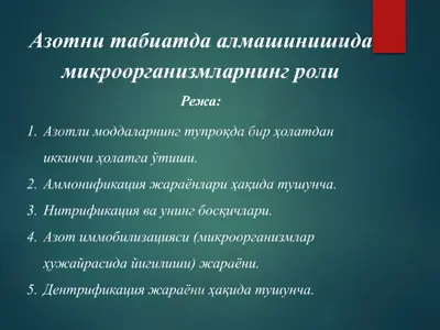 азотни табиатда алмашинишида микроорганизмларнинг роли — PPTX