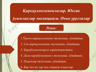 қирққулоксимонлилар. юксак ўсимликлар эволюцияси. очик уруғлилар — PPTX