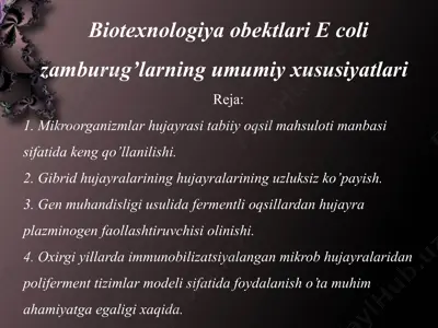 biotexnologiya obektlari e coli zamburug’larning umumiy xususiyatlari — PPTX