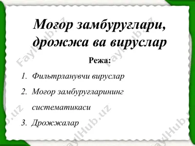 моғор замбуруғлари, дрожжа ва вируслар — PPTX