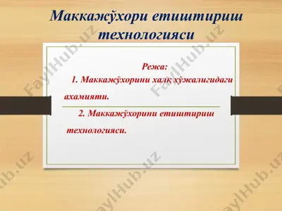 маккажўхорини етиштириш технологияси — PPTX