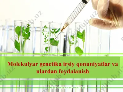 molekulyar genetika irsiy qonuniyatlar va ulardan foydalanish — PPTX
