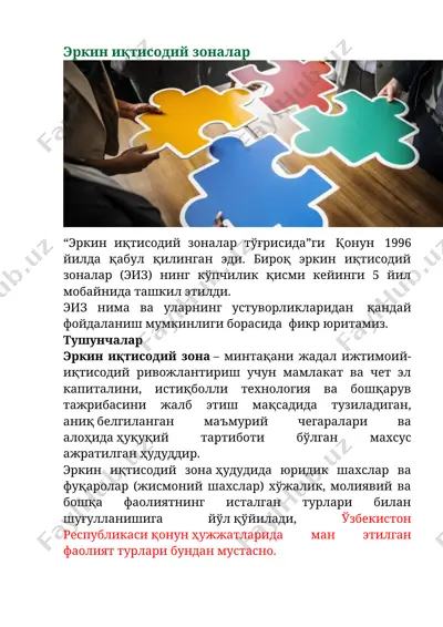 эркин иқтисодий зоналар — DOCX