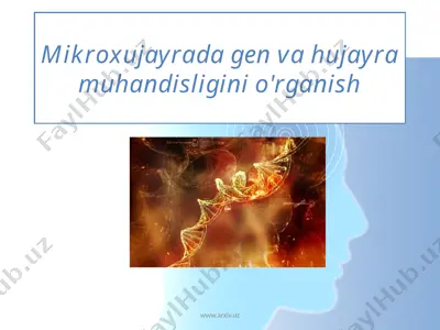 mikroxujayrada gen va hujayra muhandisligini o\\'rganish — PPTX