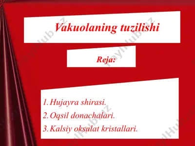 vakuolaning tuzilishi — PPTX