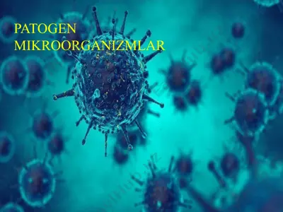 patogen mikroorganizmlar — PPTX