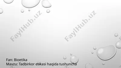 tadbirkor etikasi haqida tushuncha — PPTX