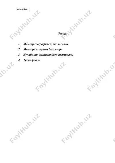 мохсимонлар булими – bryophyta — DOC