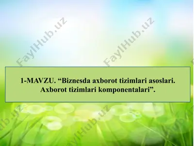 biznesda axborot tizimlari asoslari. axborot tizimlari komponentalari — PPTX