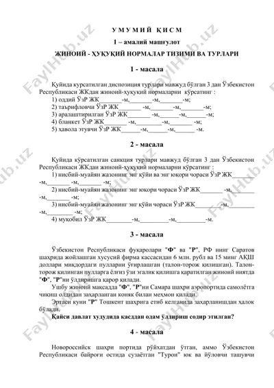 jinoyiy-huquqiy normalar tizimi — DOCX