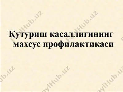 қутуриш касаллигининг махсус профилактикаси — PPTX