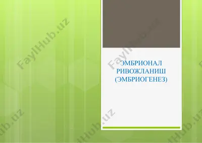эмбрионал ривожланиш (эмбриогенез) — PPTX