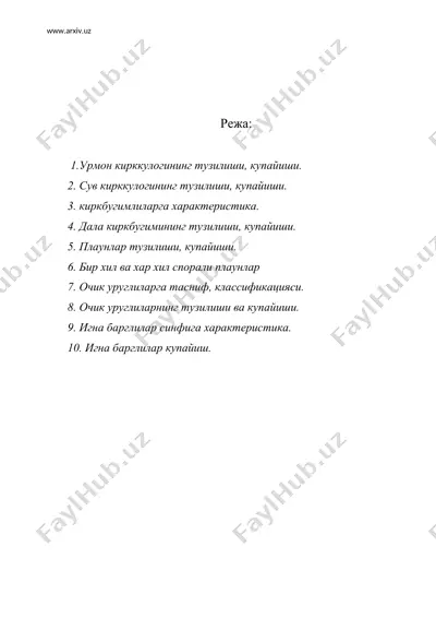 кирккулоксимонлилар. юксак усимлик- лар эволюцияси. очик уруглилар — DOC