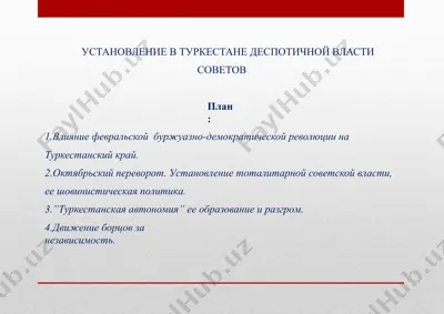 установление в туркестане деспотичной власти советов — PPTX